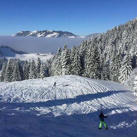 Roomy Suite in Horgen near lake&skiresorts Buitenkant foto