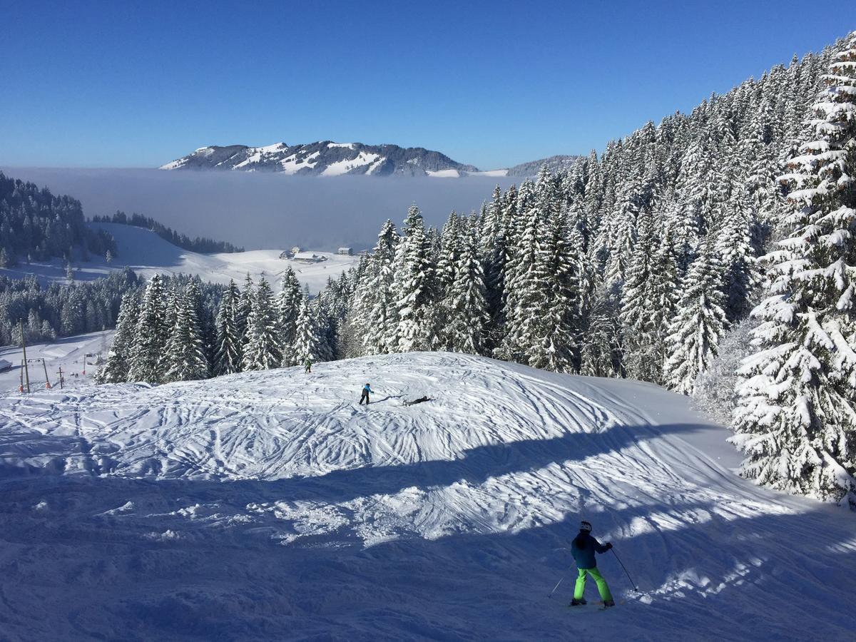 Roomy Suite in Horgen near lake&skiresorts Buitenkant foto
