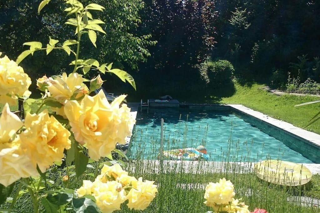 Roomy Suite in Horgen near lake&skiresorts Buitenkant foto