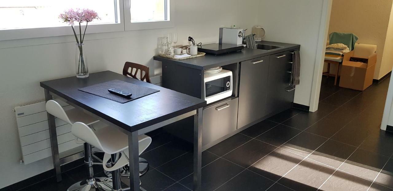 Roomy Suite in Horgen near lake&skiresorts Buitenkant foto